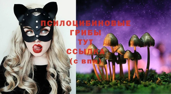 кокаин премиум Алексин