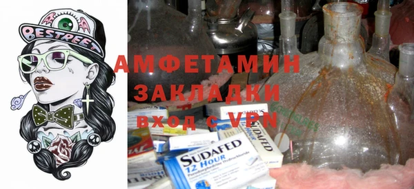 прущие грибы Елизово