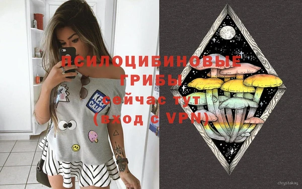 apvp Елабуга