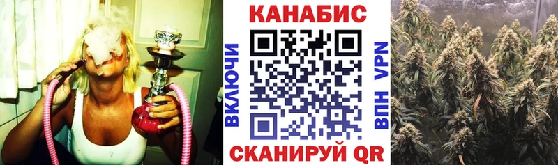 Канабис план  это наркотические препараты  Сосновка  закладка 